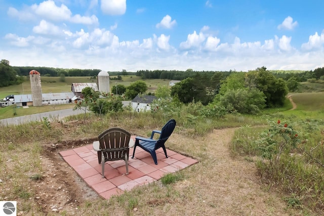 13333 S Coleman Rd, Empire, MI 49630 - view of yard with a patio