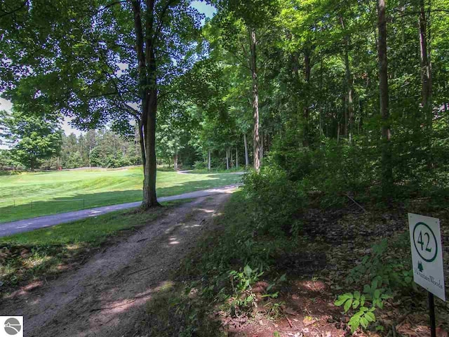 Listing photo 3 for 0000-UNIT42 Mountain Woods Dr, Thompsonville MI 49683