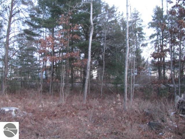 0 Lincoln St, East Tawas MI, 48730 land for sale