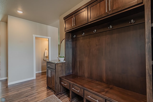 mudroom featuring dark hardwood / wood-style floors