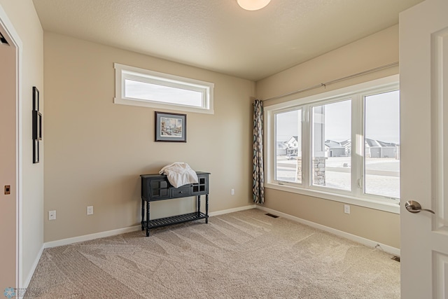 empty room featuring carpet