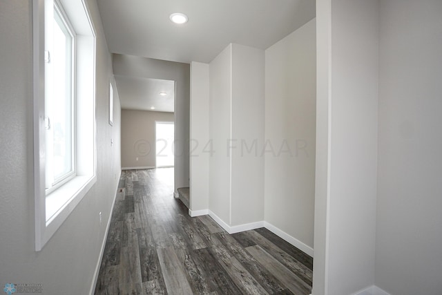 hall with dark hardwood / wood-style flooring