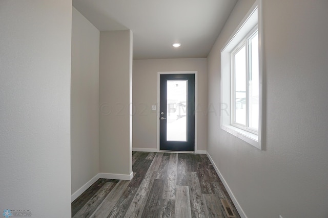 entryway with plenty of natural light and dark hardwood / wood-style floors