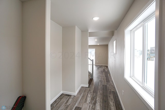 hallway featuring dark wood-type flooring