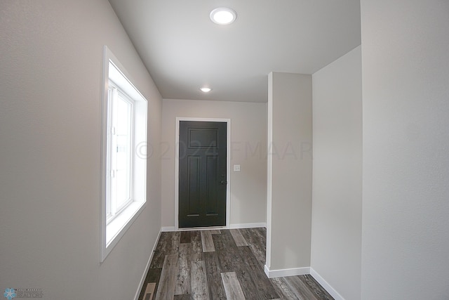 entryway with a wealth of natural light and dark hardwood / wood-style flooring