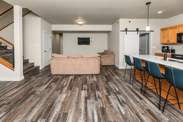 living room with sink, a barn door, and dark hardwood / wood-style floors