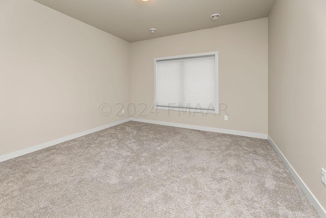 spare room with carpet flooring