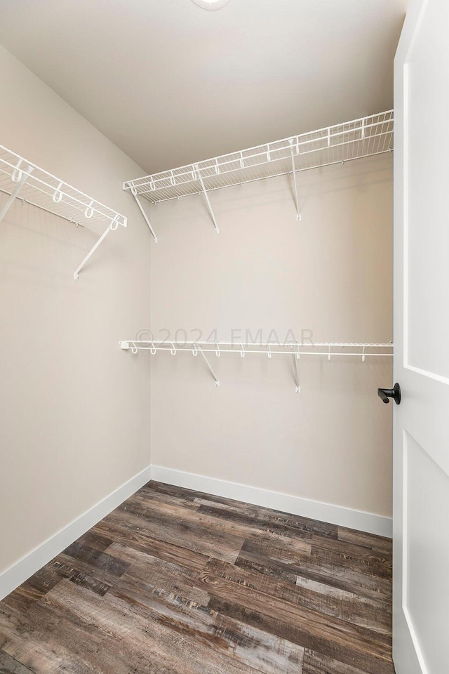 spacious closet with hardwood / wood-style flooring