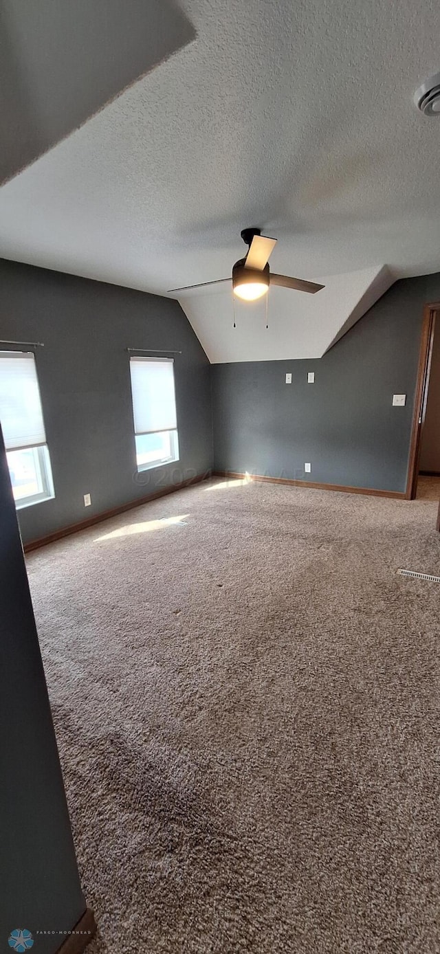 unfurnished room featuring vaulted ceiling, carpet, a wealth of natural light, and a textured ceiling