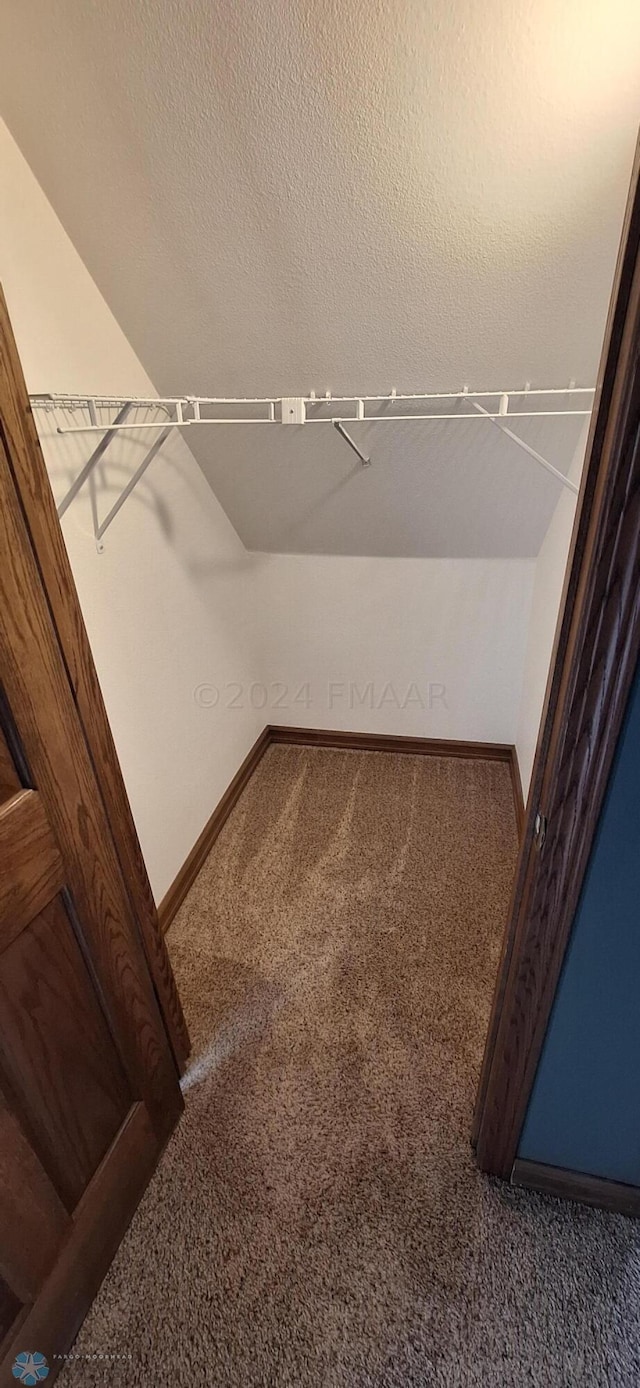 spacious closet with carpet flooring