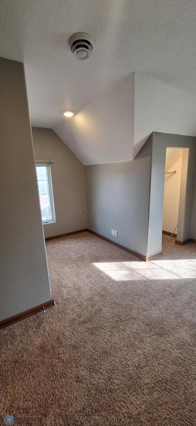 additional living space with lofted ceiling, light carpet, and a textured ceiling