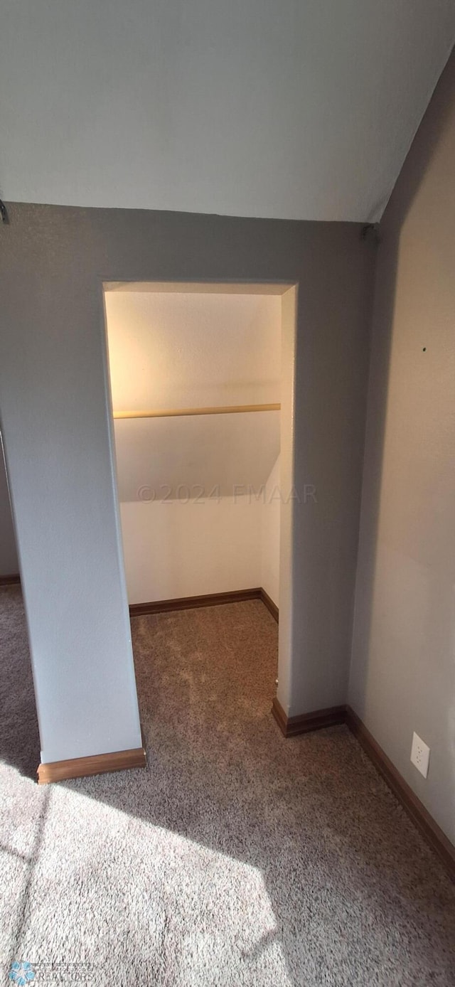 unfurnished room with carpet