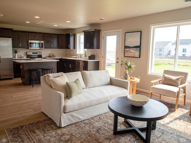 living room featuring light wood-type flooring, plenty of natural light, and sink