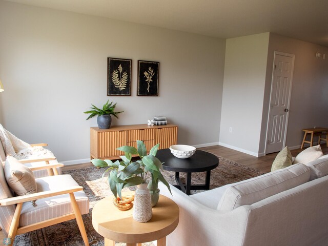 living room featuring dark wood-type flooring