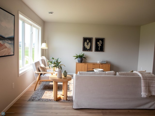 living room featuring light wood-type flooring and plenty of natural light