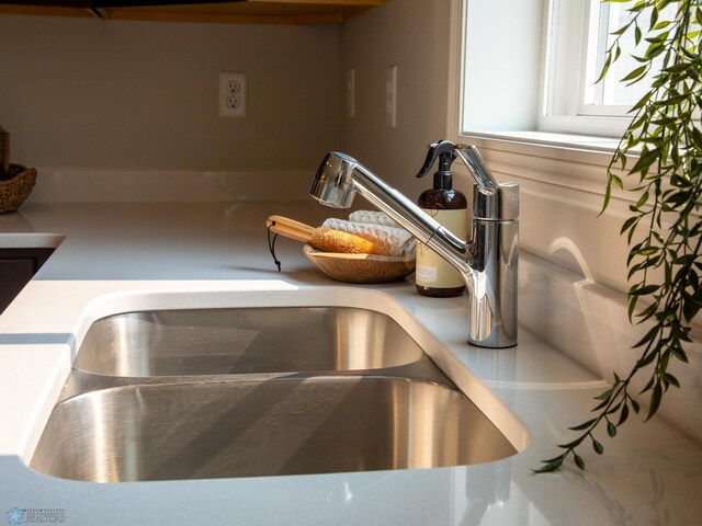 interior details featuring sink