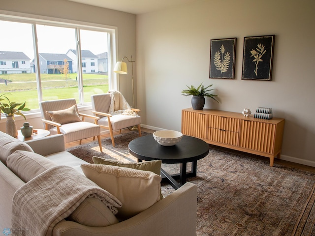 living room with hardwood / wood-style floors