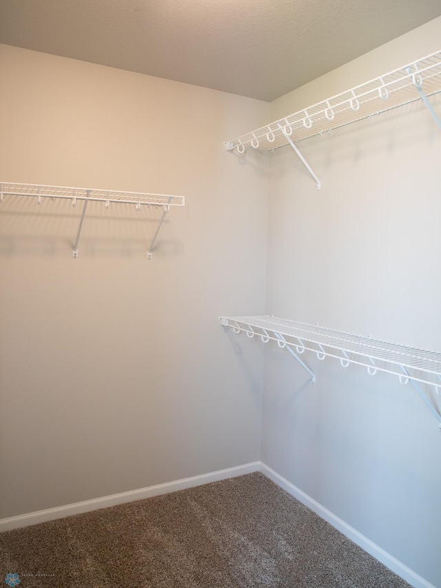 walk in closet with carpet