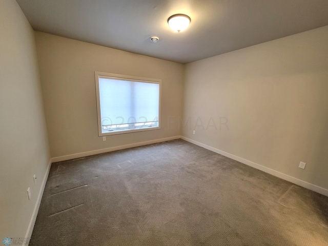 empty room featuring carpet