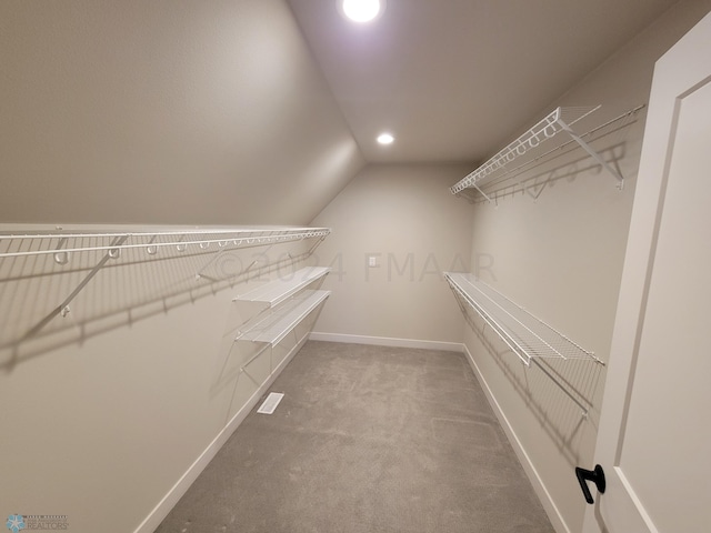 walk in closet featuring carpet floors