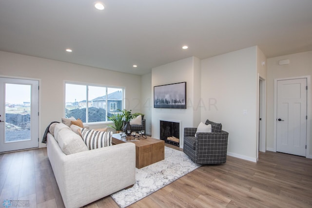 living room featuring wood-type flooring