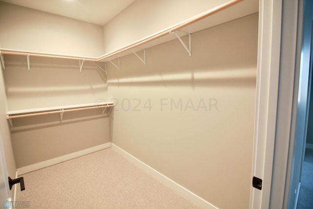 walk in closet with carpet flooring