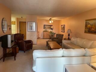 living room featuring carpet flooring