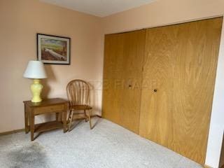 living area featuring carpet flooring