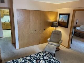 carpeted bedroom with ensuite bathroom