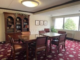 dining space featuring carpet floors