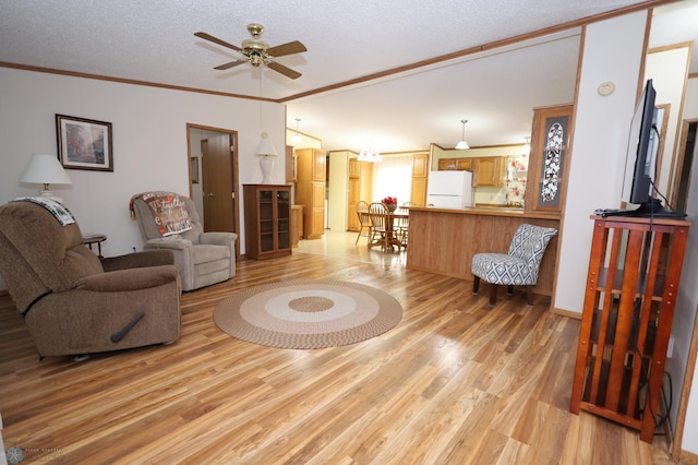 living room featuring a textured ceiling, crown molding, ceiling fan, and light hardwood / wood-style flooring