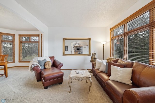 carpeted living room featuring a textured ceiling