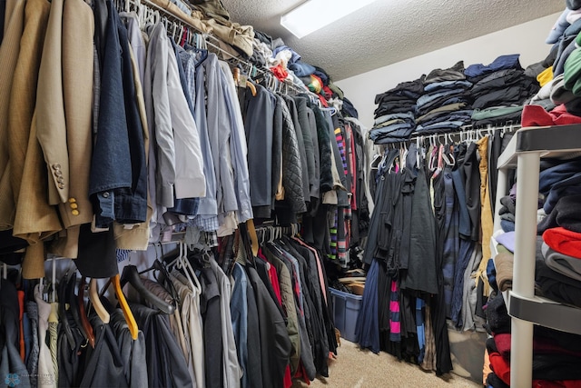 spacious closet featuring carpet floors