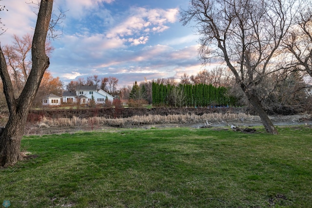 view of yard at dusk