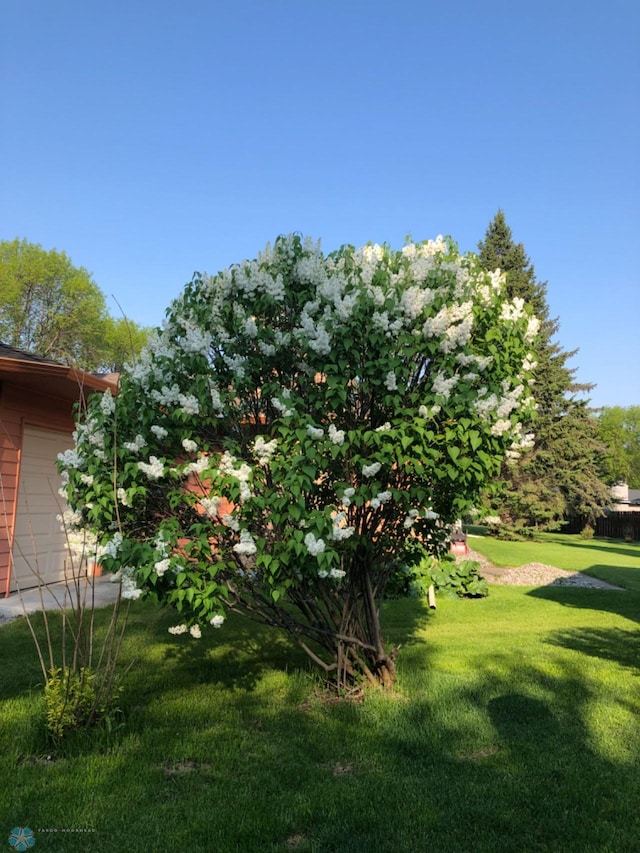 view of yard featuring a garage