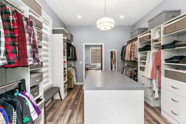 spacious closet featuring hardwood / wood-style flooring