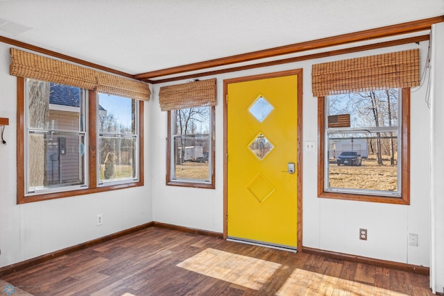 foyer entrance featuring dark wood-type flooring and ornamental molding