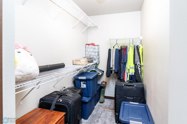 spacious closet with light carpet