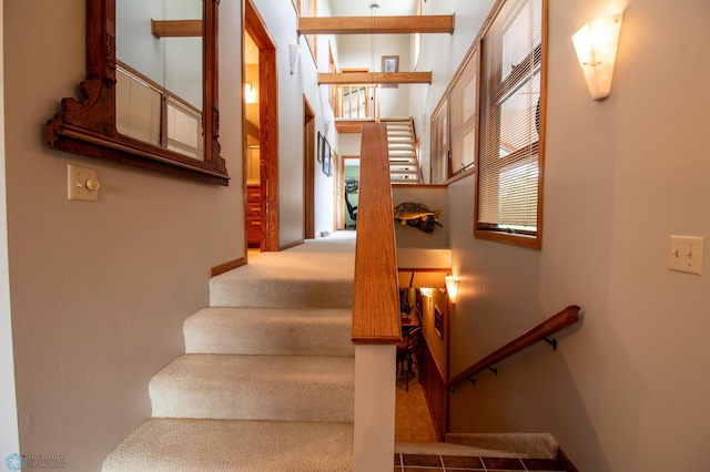 stairway with carpet