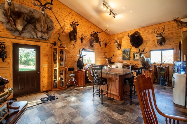 interior space featuring rail lighting, lofted ceiling, plenty of natural light, and wooden walls