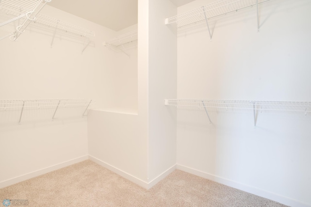 spacious closet with carpet