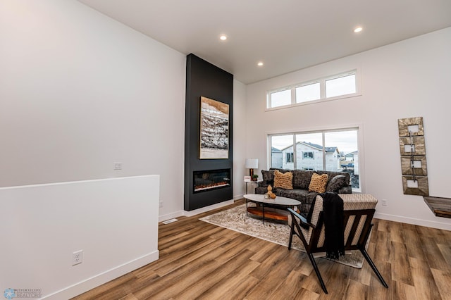 living room featuring wood-type flooring and a high ceiling