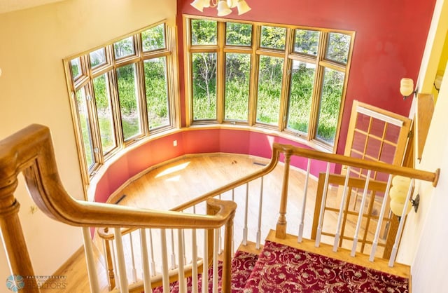 stairs featuring a high ceiling and hardwood / wood-style floors