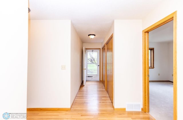 hallway featuring light hardwood / wood-style flooring