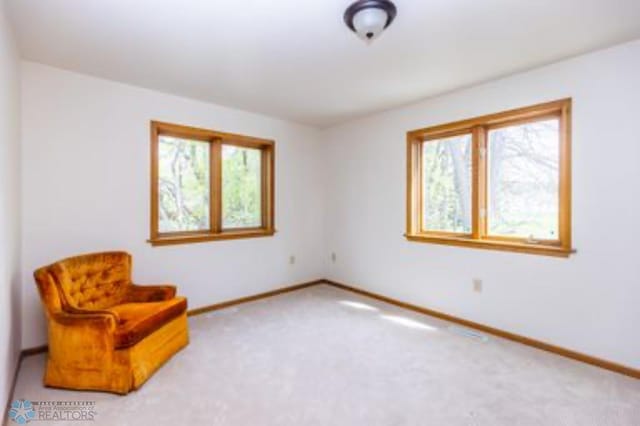 sitting room featuring carpet floors