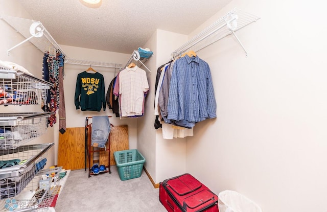 walk in closet featuring carpet floors