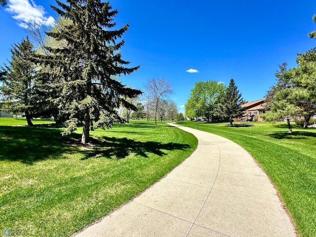 view of community with a lawn