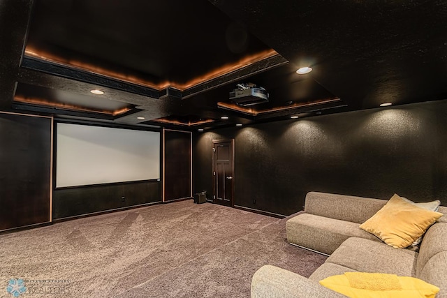 carpeted home theater featuring a raised ceiling