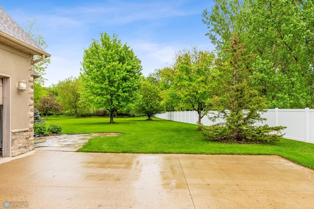 view of yard with a patio