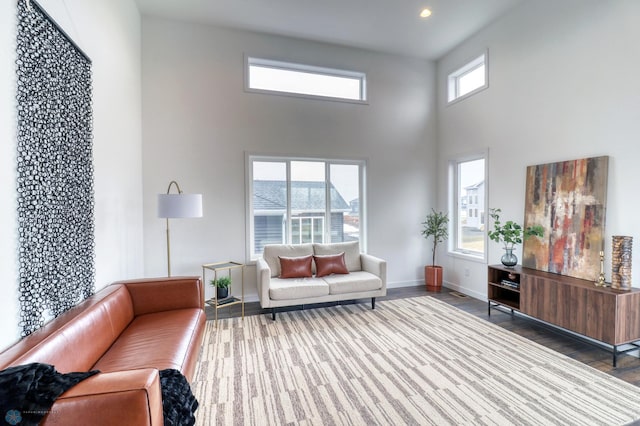 living room featuring a towering ceiling and hardwood / wood-style floors